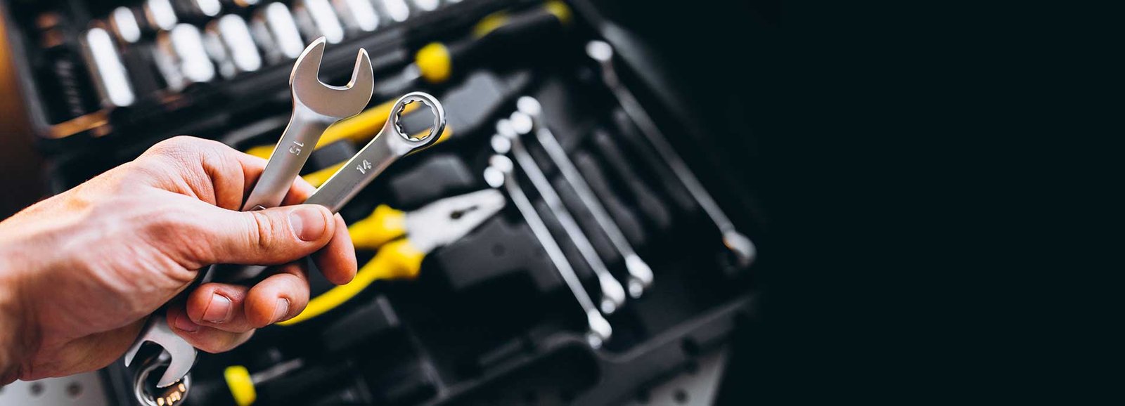 Distribuidora Mariana