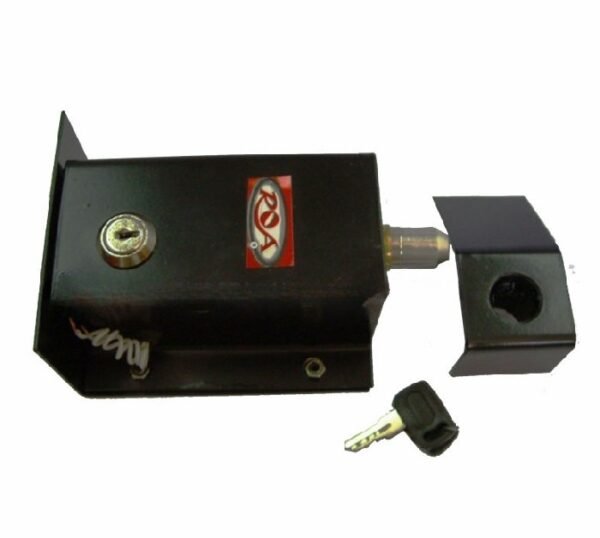 2020 Roa Cerradura Electrica Para Porton